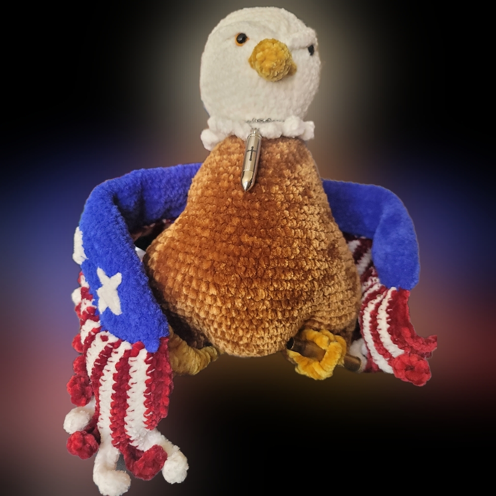 American flag egael